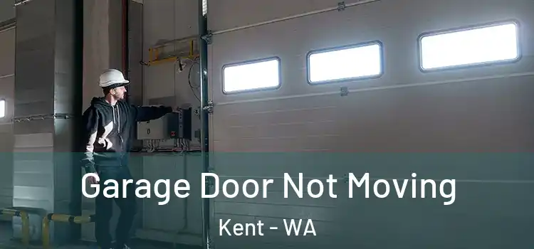  Garage Door Not Moving Kent - WA